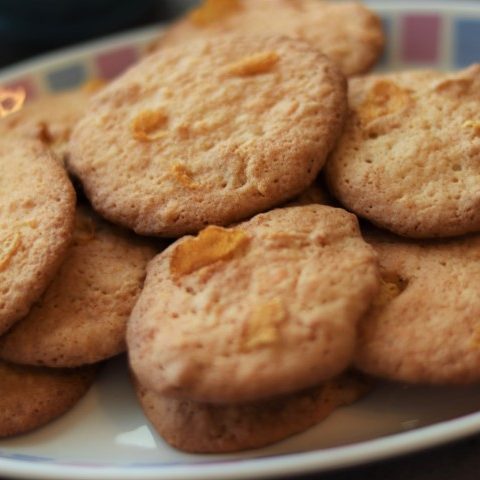 Délicieux biscuits à la noix de coco sur une assiette