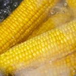Épis de maïs qui cuisent dans une grand chaudron d'eau bouillante